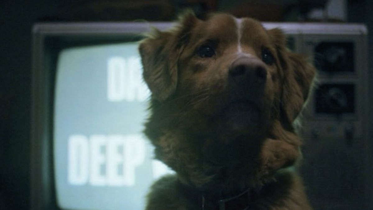 Sinopsis Good Boy, Melihat Situasi Horor dari Sudut Pandang Anjing