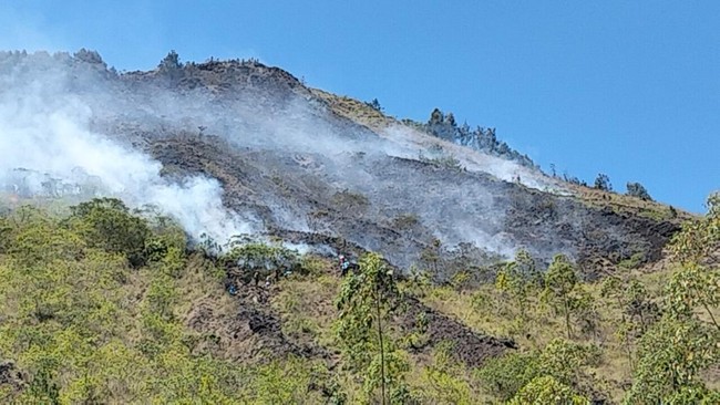 Peristiwa karhutla terjadi di lereng Gunung Batur, Kecamatan Kintamani, Kabupaten Bangli, Bali. Api diduga berasal dari puntung rokok.