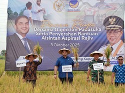 Panen Raya Padi di Bandung, Rajiv Tegaskan Dukungan NasDem untuk Petani