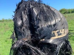 Benda Hitam Berbulu Misterius Jatuh Dari Langit di Lahan Pertanian