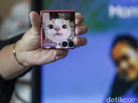 Trend-Jacking for Growth, Strategi Inovatif untuk Melejitkan Brand Awareness