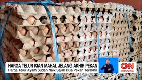 VIDEO: Harga Telur Mahal, Pedagang dan Pembeli Pasrah