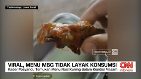 VIDEO: Viral, Menu MBG Tidak Layak Konsumsi