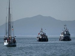 Sempat Ditahan, 4 Aktivis Global Sumud Flotilla Asal Italia Dideportasi Israel
