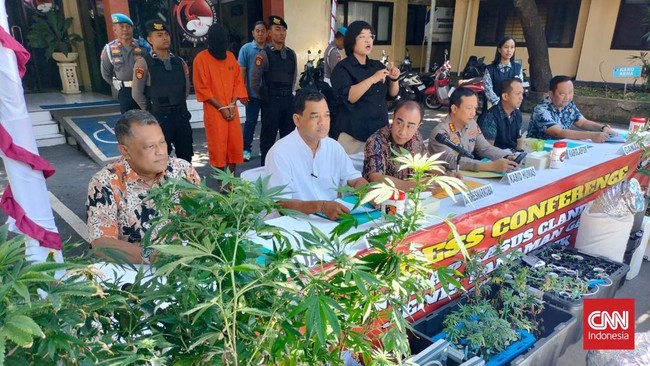 Polda Bali menangkap pasutri WNA yang memiliki kebun ganja hidroponik di rumah kontrakan di Denpasar.