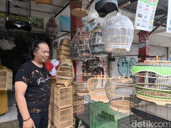 Cerita Manis Deni Jual 6 Burung Murai Bisa Dapat Rumah di Kuningan