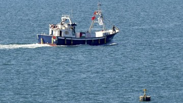 Greta Thunberg Cs Disiksa Israel hingga Hamas Setuju Bebaskan Sandera