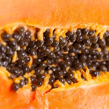 Jangan Dulu Dibuang, Ini 5 Manfaat Biji Pepaya yang Jarang Diketahui