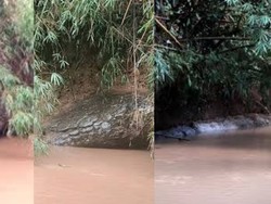 Viral di Thailand! Batu Mirip Ular Raksasa Hebohkan Warga