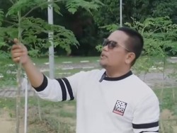 Hidup Sehat Ala Bupati Pelalawan, Rutin Minum Teh-Tumis Daun Kelor