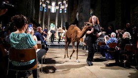 FOTO: Momen Pemberkatan Hewan di Katedral St. John the Devine AS