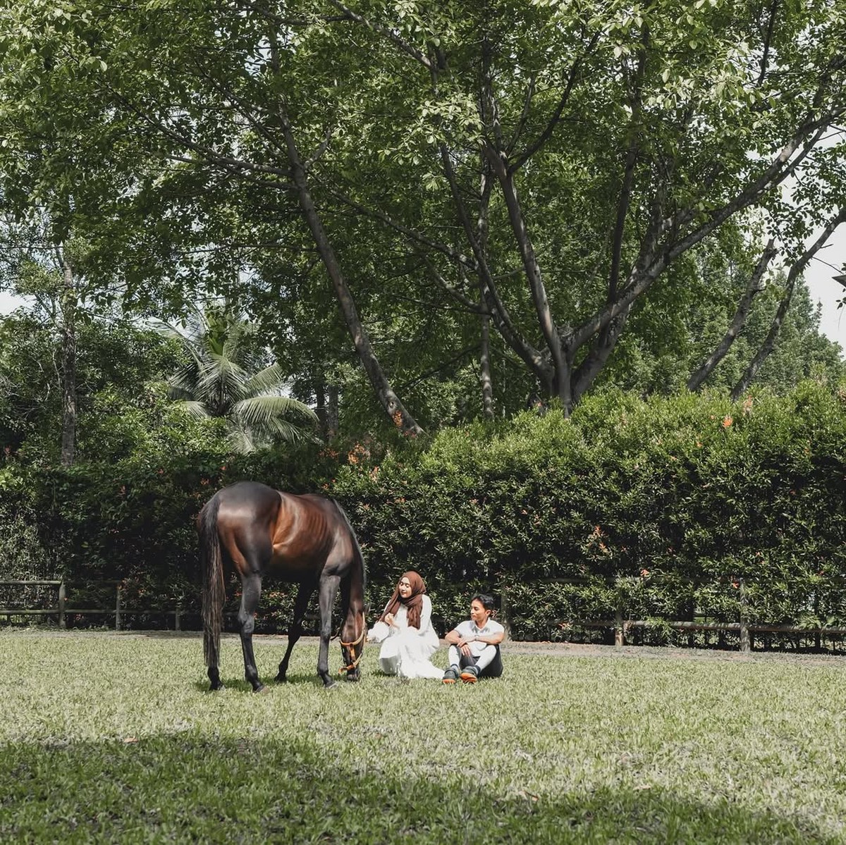 Taqy Malik dan Sherel Thalib