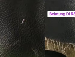 Viral Bed Pasien di RSUD Cut Meutia Penuh Belatung, Kemenkes Angkat Bicara