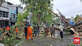 Pohon Besar Tumbang Tutup Akses Jalan Bintaro-Ciputat, Ada yang Luka