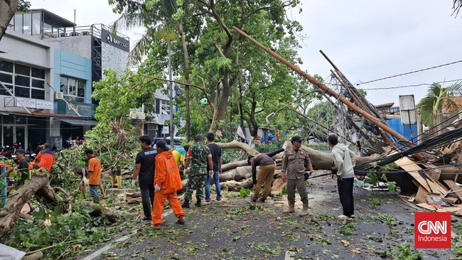Dua pohon Rengas tumbang di Jalan Jombang Raya, Tangerang Selatan karena hujan deras hingga menutup akses jalan. Ada korban yang dilarikan ke rumah sakit.