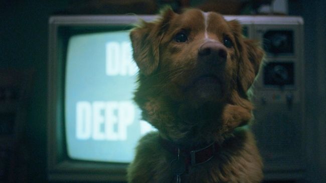 Sutradara Ben Leonberg mengungkapkan inspirasi di balik menjadikan anjing peliharaannya, Indy, jadi karakter utama film horor Good Boy.