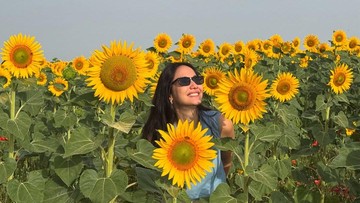 Berita Seputar Selebriti Insertlive Terkini : Dikira Suara Bom, Pevita Pearce Tak Tahu Suara Token Listrik Habis