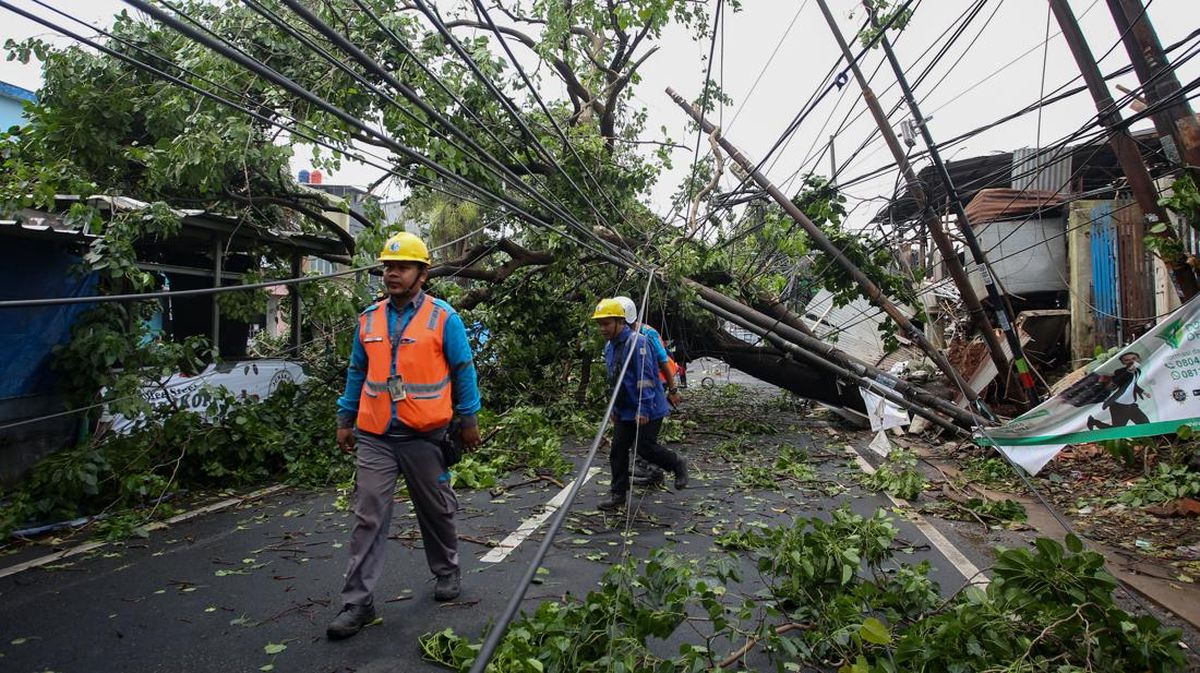 Pramono Bakal Pasang Penyangga di 5000 Pohon Cegah Pohon Tumbang