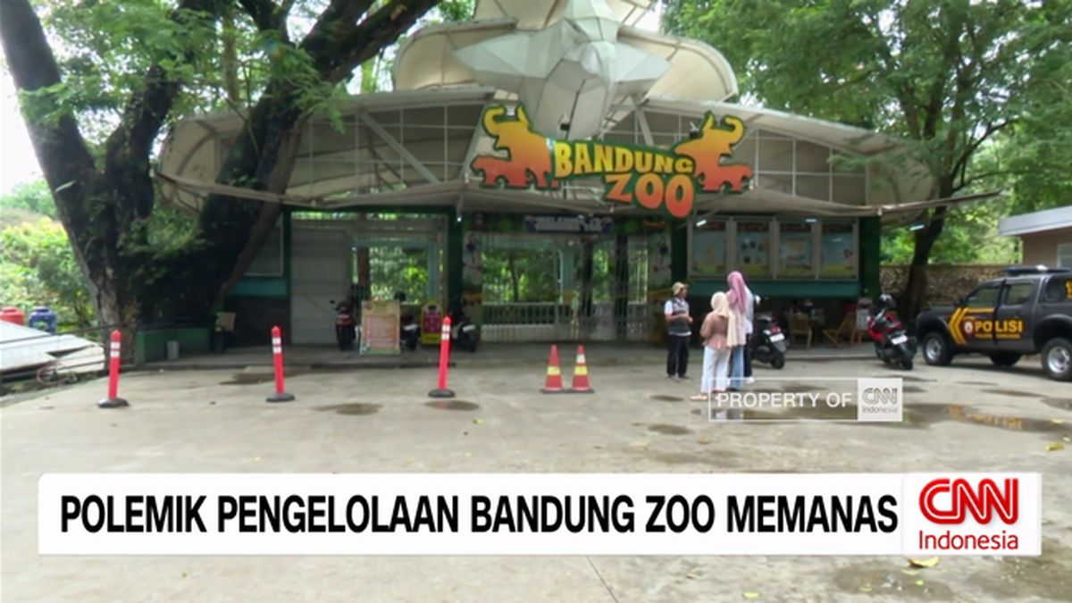 VIDEO: Polemik Pengelolaan Bandung Zoo Memanas
