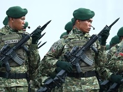 Seragam PDL Baru TNI Kini Hijau Muda, Gantikan Loreng Malvinas Sejak 1982