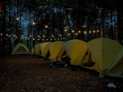 Kebon Rojo Camp: Wisata Camping Nyaman di Alam Asri Malang