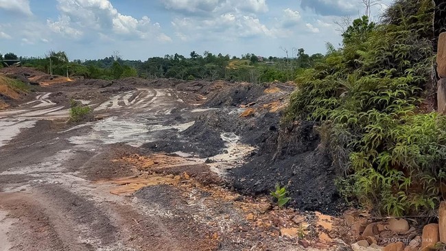Tambang Ilegal di IKN Terkuak — Satgas Lintas Kementerian Sudah Bertindak Sejak 2023