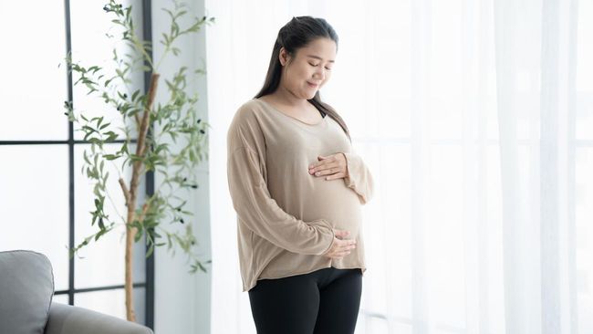 Studi Terbaru Temukan Manfaat Bakteri Usus Baik pada Kehamilan, Dukung Pertumbuhan Janin