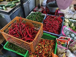 Harga Cabai di Kulon Progo Kian Pedas, Tembus Rp 60 Ribu Sekilo