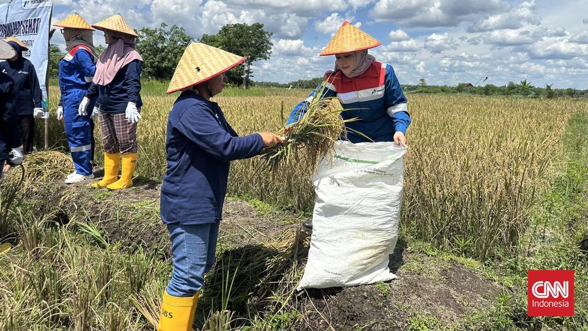 Pertamina EP Angkat Desa Pengabuan dari Kemiskinan