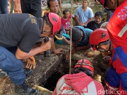 Kakek Tewas Demi Selamatkan Cucu Tercebur Sumur di Gunungkidul
