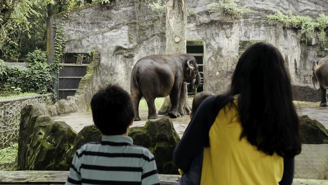 10 Tempat Wisata yang Cocok untuk Anak TK di Jakarta