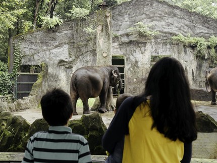 10 Tempat Wisata yang Cocok untuk Anak TK di Jakarta