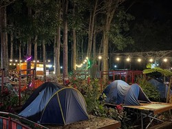 Mau Healing Makan Durian Sepuasnya? Yuk Mampir Kampung Panti Jember