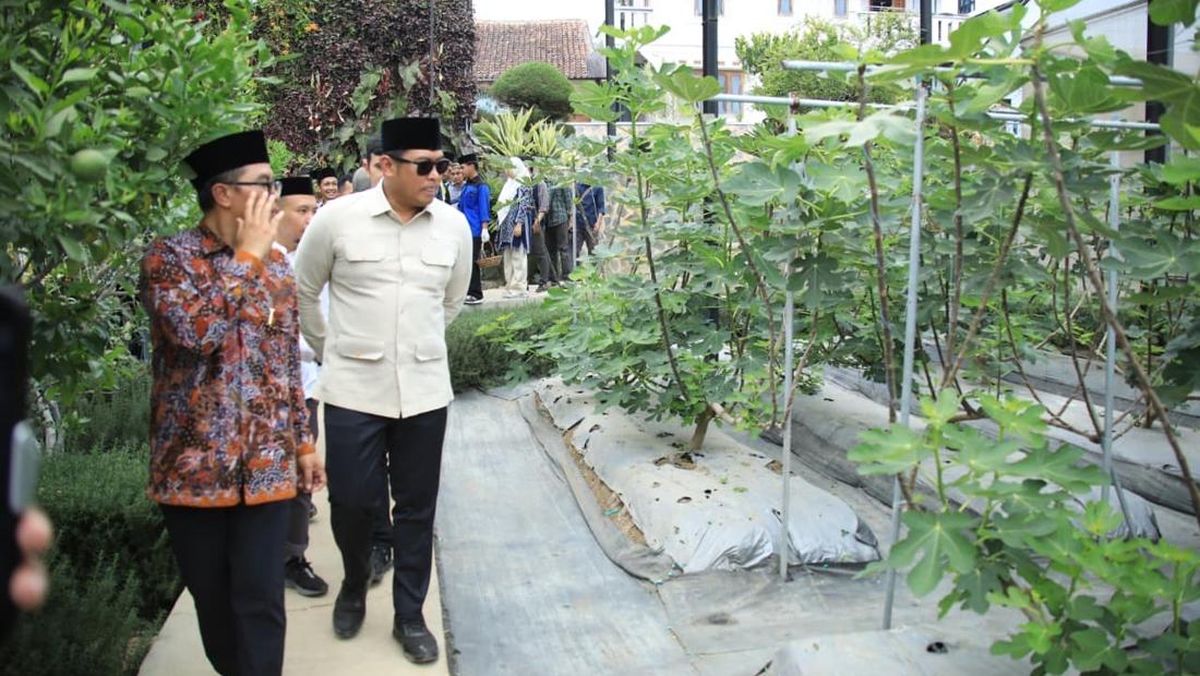 Wamentan Sudaryono Beberkan Peta Jalan Kemandirian Pangan Nasional