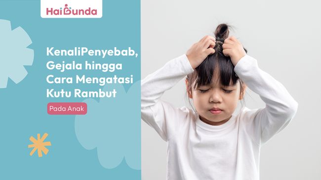 Kenali Penyebab, Gejala hingga Cara Mengatasi Kutu Rambut pada Anak