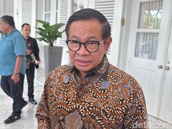 Seloroh Pram soal Ragunan Buka Malam Minggu: Pacaran Boleh, tapi Baik-baik ya
