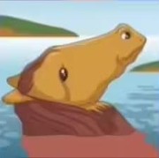 Tes Kepribadian: Katak atau Kuda yang Pertama Kamu Lihat? Ini Artinya!