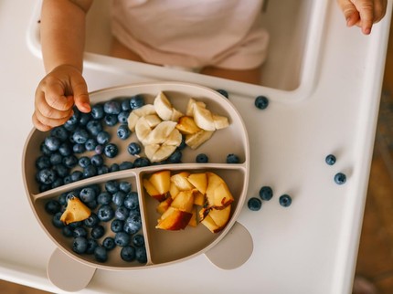 Benarkah Blueberry sebagai MPASI Pertama Dapat Meningkatkan Kesehatan Usus Si Kecil?