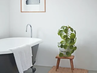 Mau Renovasi Kamar Mandi? Ini 3 Bathtub Freestanding Acrylic yang Bikin Mandi Beda Level