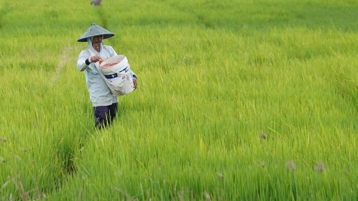 Sukses Pertanian Nasional: Penetapan HPP hingga Reformasi Tata Kelola