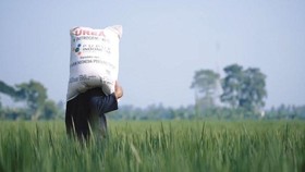 Survei Litbang Kompas: 71,5 Persen Publik Puas atas Kinerja Kementan