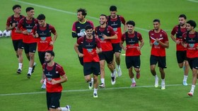 Indonesia vs Irak: Arnold Panggil Striker Baru, Siapakah Dia?