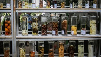 FOTO: Wisata Medis Hortus Medicus, Surga Tanaman Obat Asli Indonesia