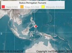 5 Wilayah di Sulut-Papua Waspada Tsunami Akibat Gempa M 7,4 Filipina