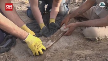 VIDEO: Penemuan Fosil Dinosaurus Usia 70 Juta Tahun di Argentina