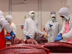 AS Percayakan KKP sebagai Certifying Entity untuk Udang Indonesia