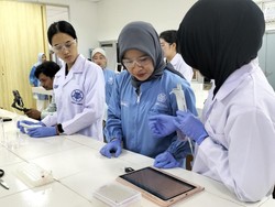 Mengintip Inovasi Dosen Farmasi UGM yang Antarkan Menjadi Top 2% Ilmuwan Dunia