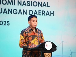 Wamendagri Tekankan Peran TPAKD untuk Inklusi Keuangan Daerah