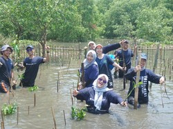 Paragonian Bergerak 2025 Tanam 3.500 Mangrove di Desa Tanjung Burung
