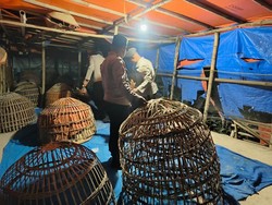 Polisi di Lamongan Ubrak-abrik 2 Tempat Judi Sabung Ayam dalam Sehari